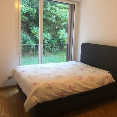 Luxury Appartement In Lausanne