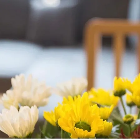Luxury Appartement In Lausanne Apartment Le Mont-Sur-Lausanne
